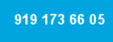 919 173 66 05 919 173 66 05